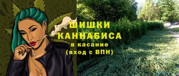 гидропоника Ладушкин