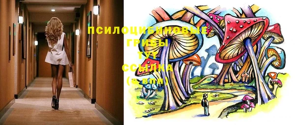 гидропоника Ладушкин