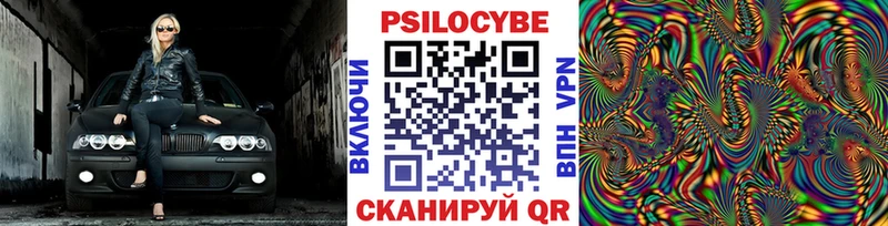 Купить  Светогорск  Галлюциногенные грибы Psilocybine cubensis 