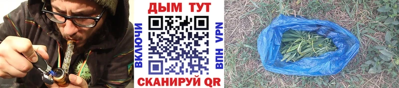 Купить где  Светогорск  Конопля SATIVA & INDICA 